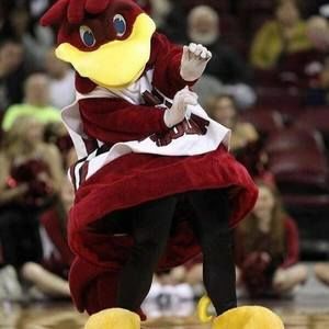 Meet your Posher, Tommy