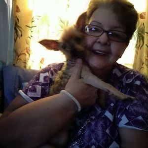 Meet your Posher, Martha