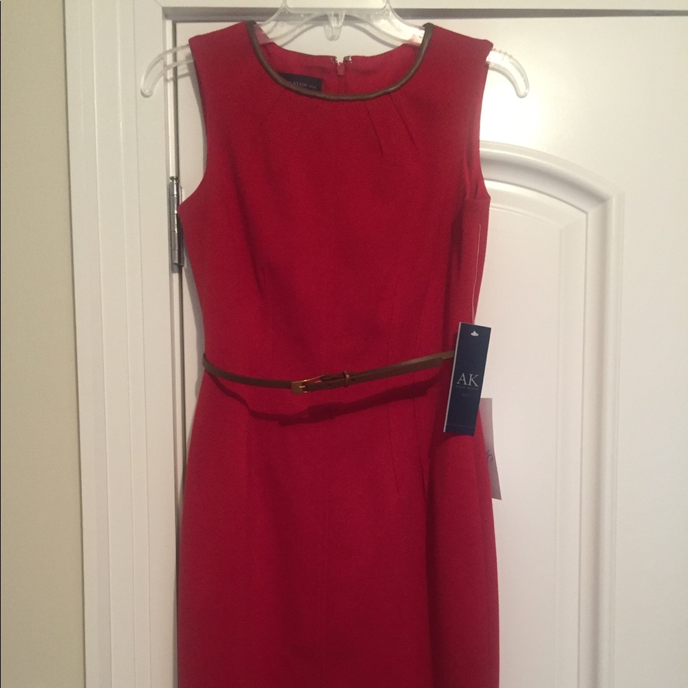New never worn dark red colored shift dress