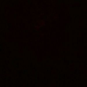 Meet your Posher, Brett