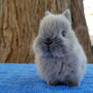 Meet your Posher, Macy