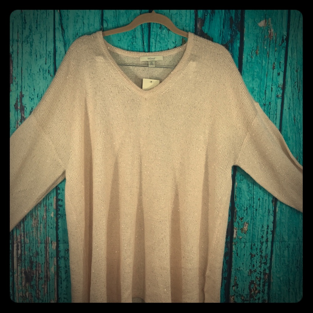 NWT Sejour Soft Pink Sweater Curvy Size 2x