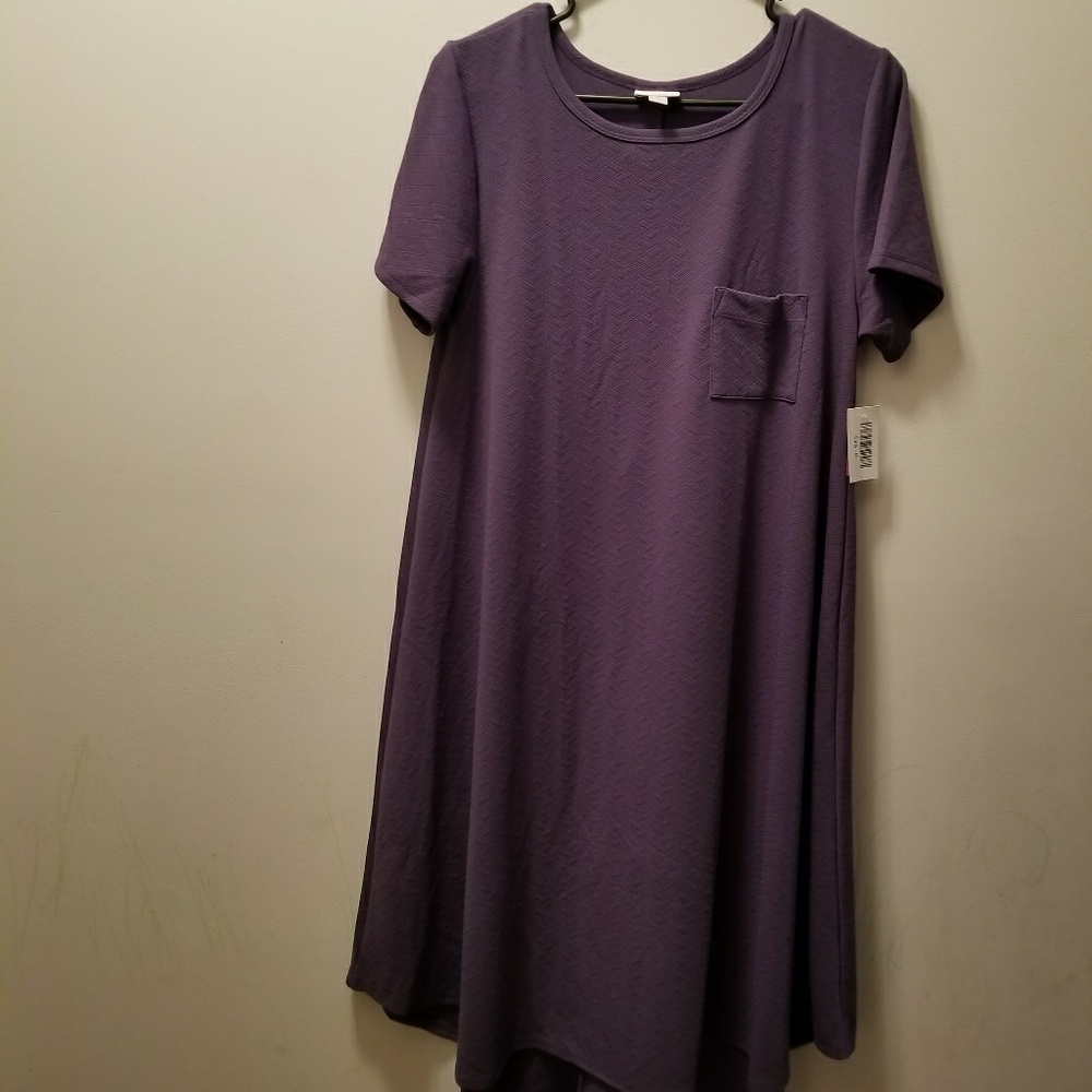 Beautiful Lularoe SOLID carly