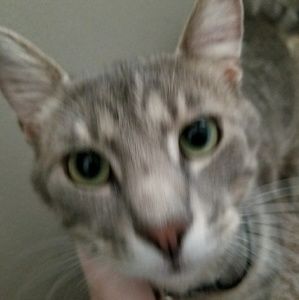 Meet your Posher, Sherry