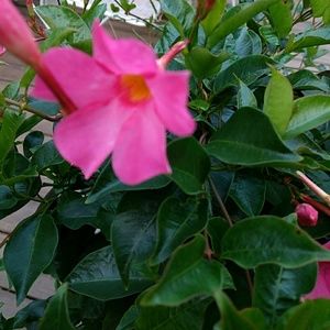 Meet your Posher, Jesse