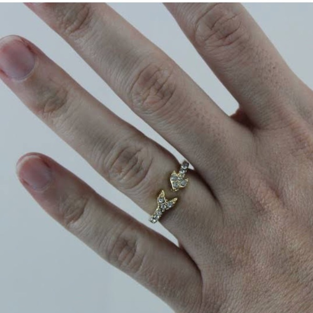 JewelryStorm Endless Arrow Ring