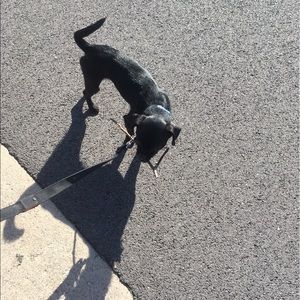 Meet your Posher, Adrienne