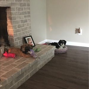 Meet your Posher, Arielle