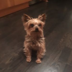 Meet your Posher, Michelle