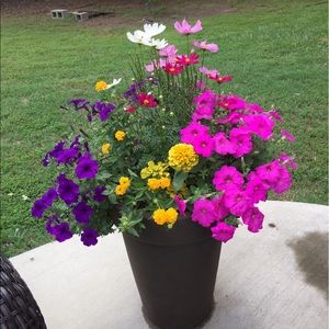 Meet your Posher, Janel