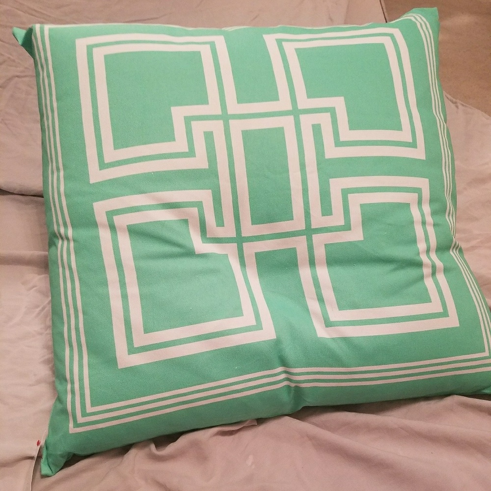 NWT mint green throw pillow
