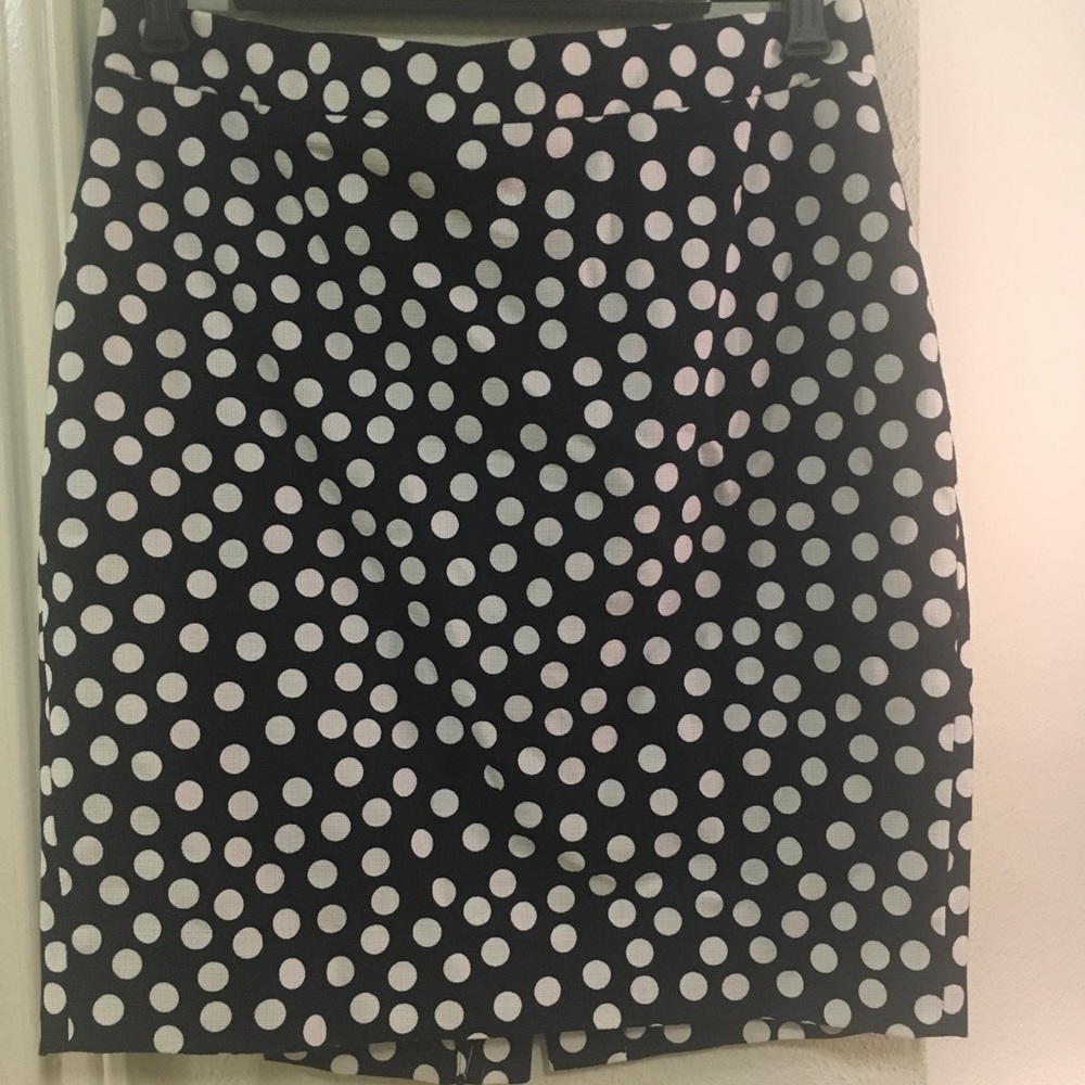 NWT J. Crew Factory Skirt - 8P