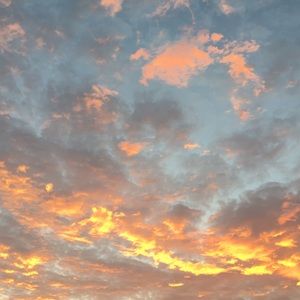 Meet your Posher, Beau