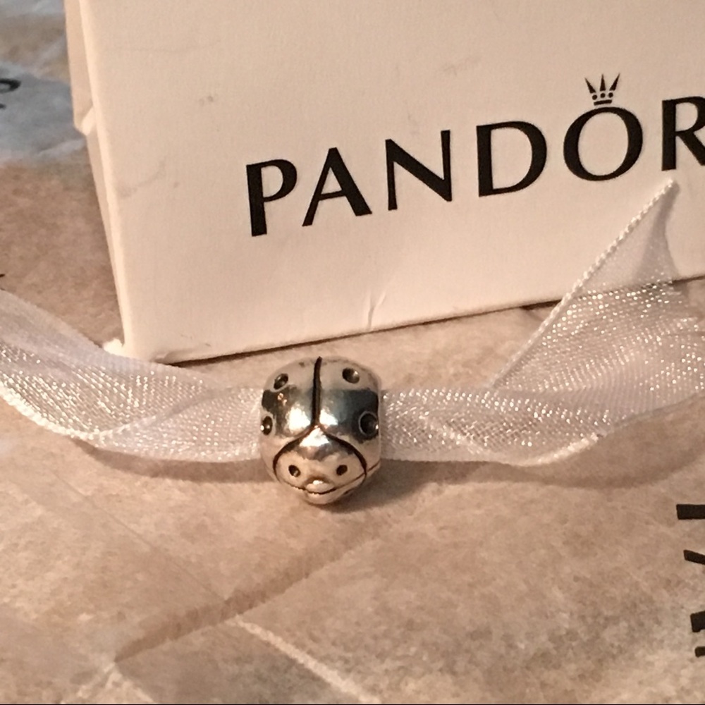 Retired PANDORA Ladybug 🐞 Charm ❤️ RARE