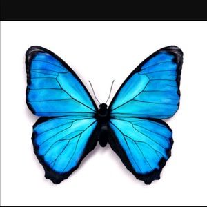 Meet your Posher, Bernice