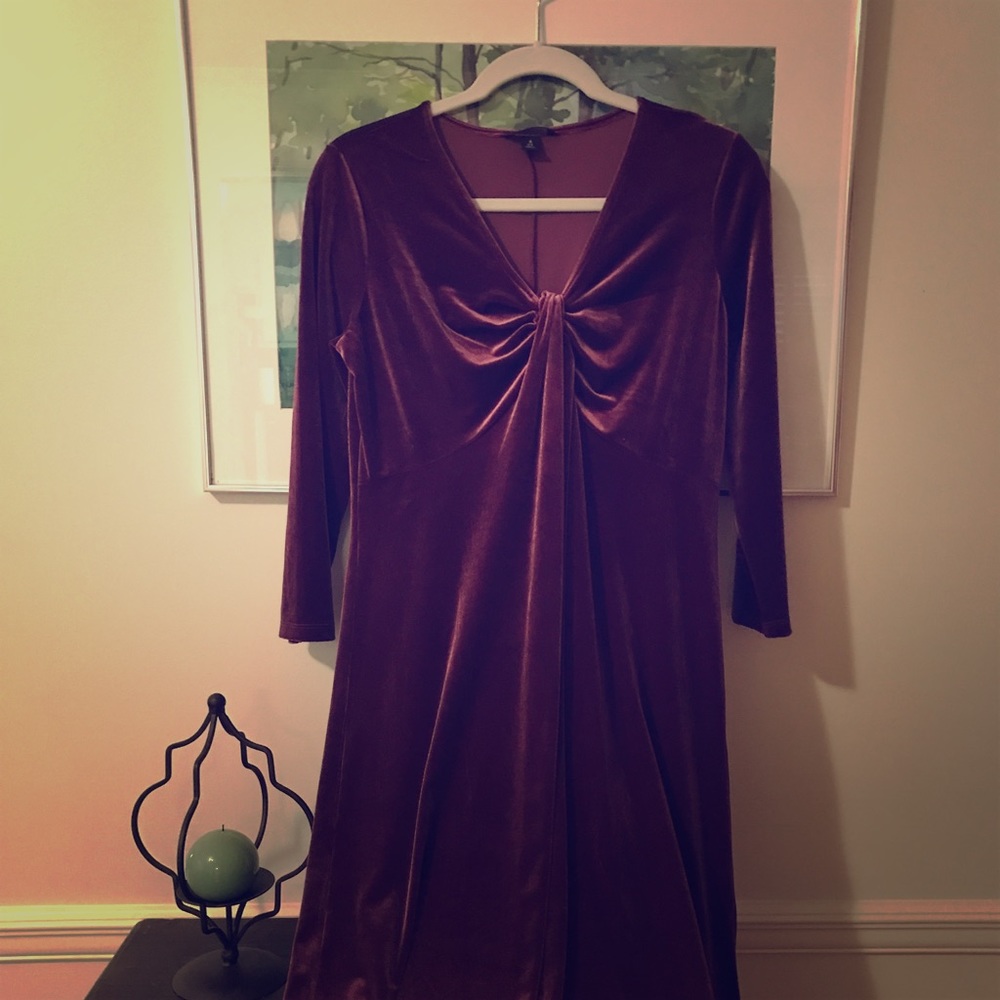 Land's End deep purple velvety-velour dress