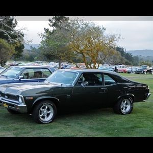 Meet your Posher, Sam