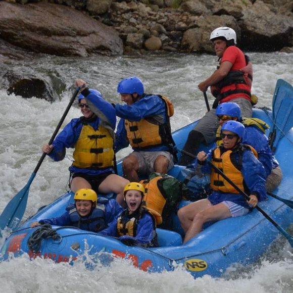 Meet your Posher, Dawn - Picture 1 of 1