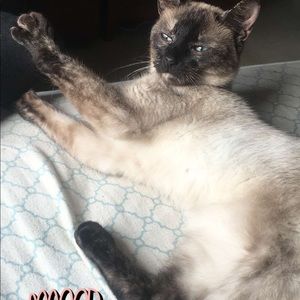 Meet your Posher, Bettsy