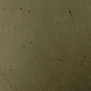 Meet your Posher, Blake