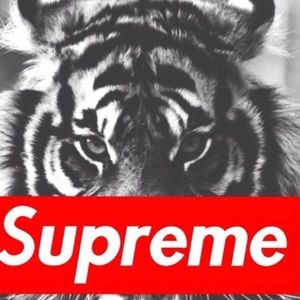 Meet your Posher, Will