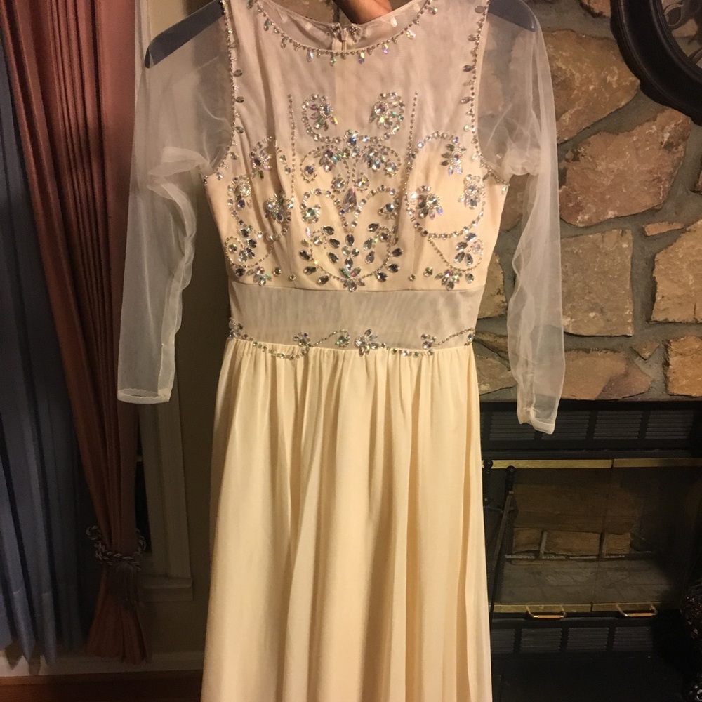Long formal dress. Only work once!