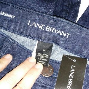Nwt Lane Bryant Mid Rise Skinny Jeans Size 14