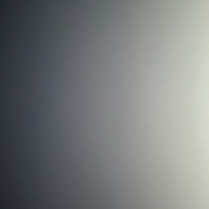 Meet your Posher, Dawson