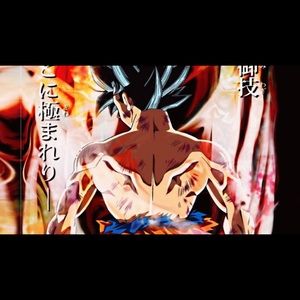 Meet your Posher, Hector