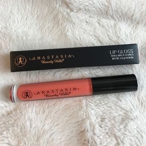 Anastasia Beverly Hills Makeup - BNIB MELON ANASTASIA BEVERLY HILLS LIPGLOSS Anastasia Beverly Hills Makeup - BNIB MELON ANASTASIA BEVERLY HILLS LIPGLOSS
