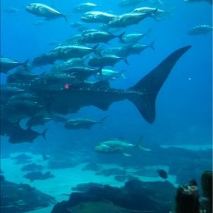 Meet your Posher, Daylan