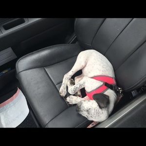 Meet your Posher, Kate