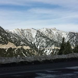 Meet your Posher, Saul