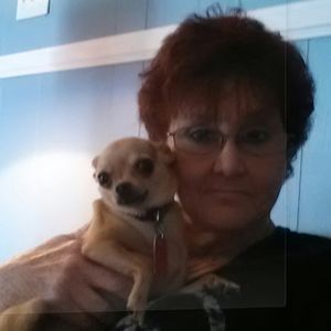 Meet your Posher, Jean