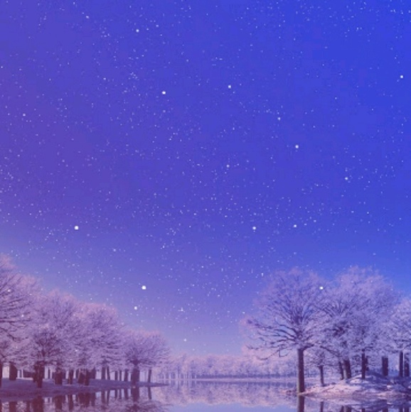 Meet your Posher, Bailey - Picture 1 of 1