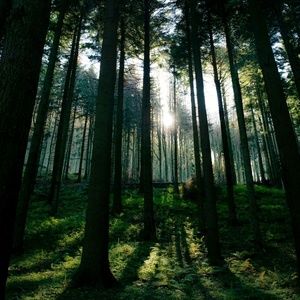 Meet your Posher, Claire