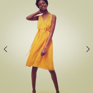 Ann Taylor Loft tassel tie waist dress