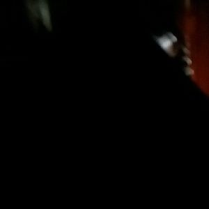 Meet your Posher, Oscar