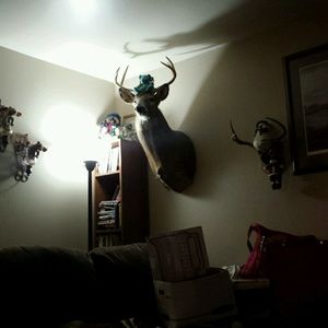 Meet your Posher, Alexis