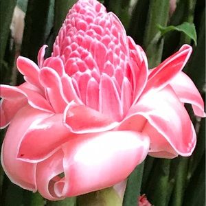 Meet your Posher, Danyelle