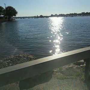 Meet your Posher, Rivera