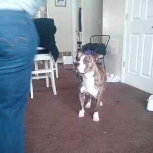 Meet your Posher, Gregory