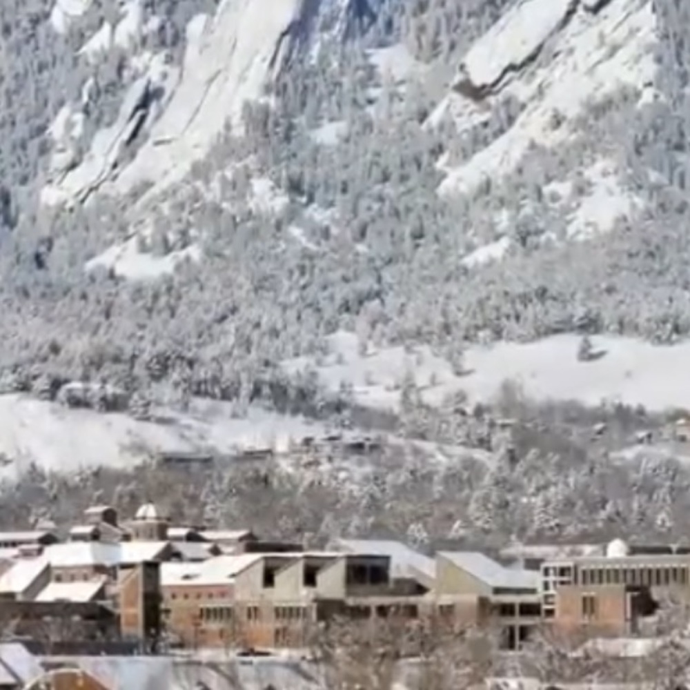 Meet your Posher, Gracie