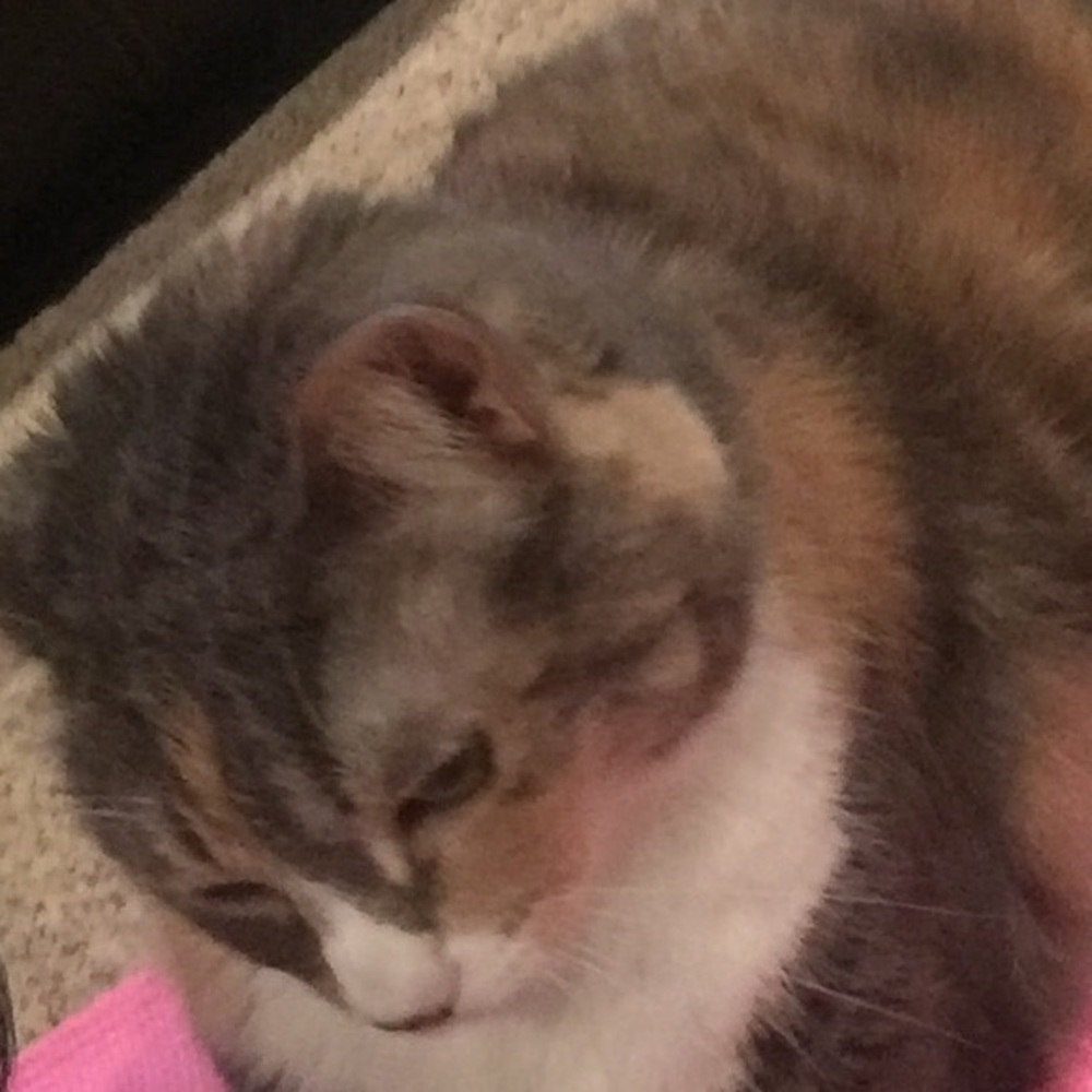 Meet your Posher, Philippa