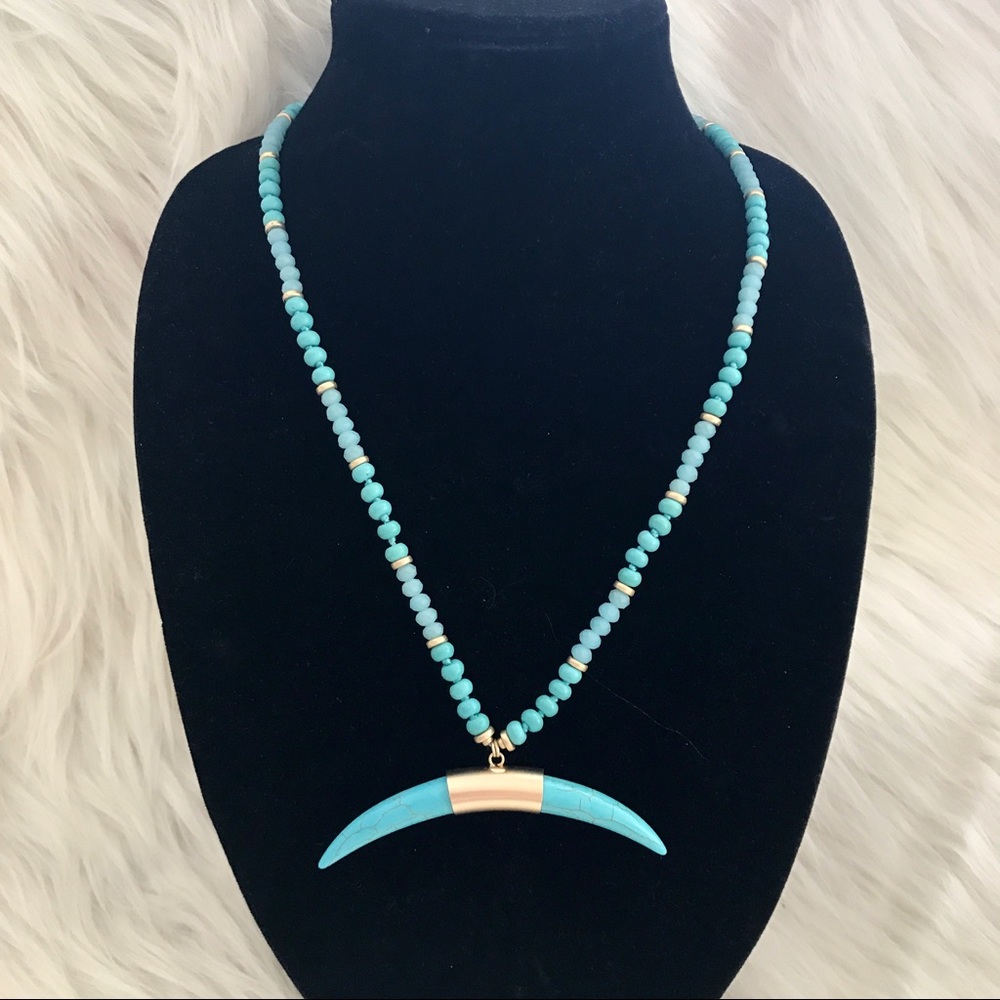 Turquoise Horn Beaded Necklace