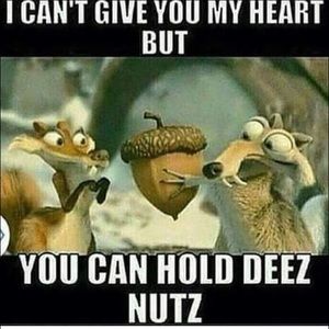 Meet your Posher, Tyler