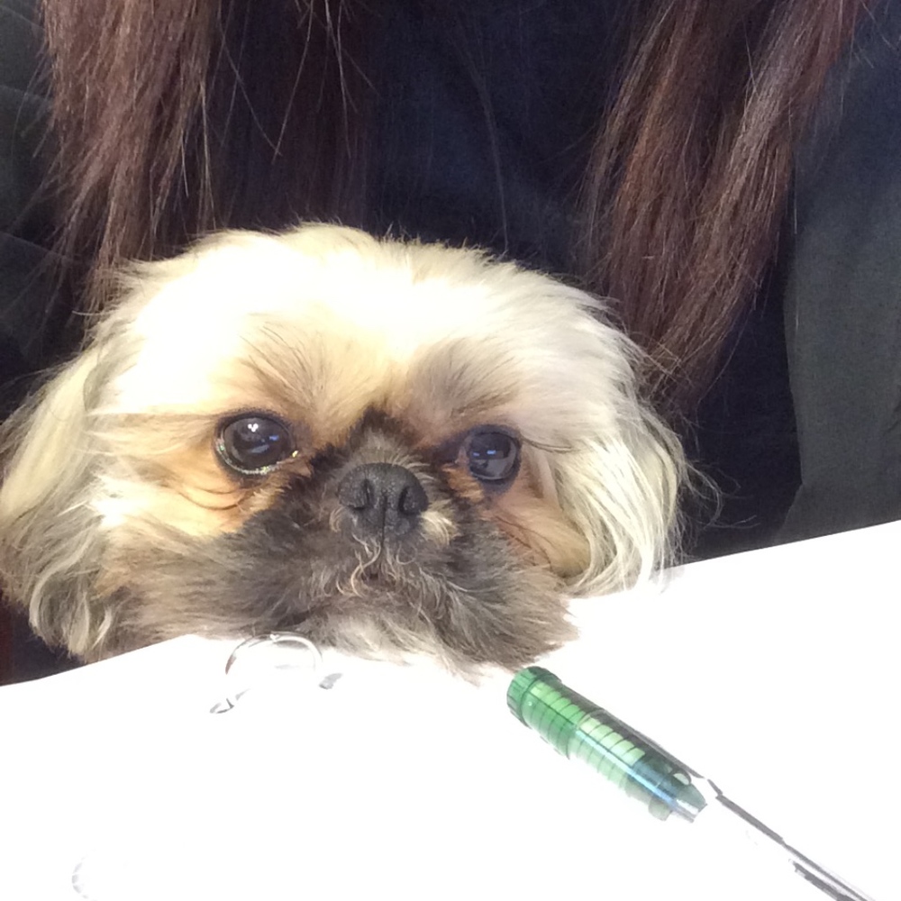 Meet your Posher, Chloe