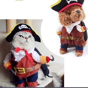 Dog pirate costume