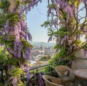 Meet your Posher, Gigi