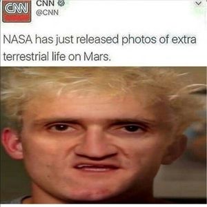 Meet your Posher, Jayden